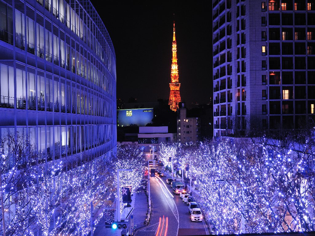 クリスマスイルミネーション 結婚式司会 ウェディング イベント司会者 プロス